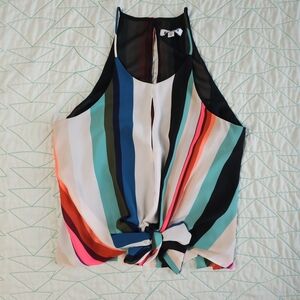 Express Multicolor Stripe Summer Sleeveless Tie Front Blouse